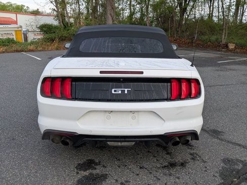 Used 2019 Ford Mustang GT Premium w/ Equipment Group 401A image 6