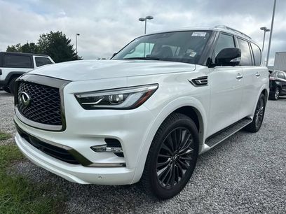 Used 2024 INFINITI QX80 Premium Select w/ Cargo Package