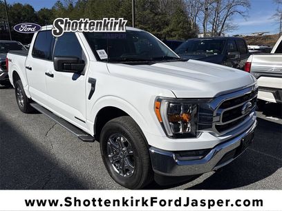 Used 2023 Ford F150 XLT w/ Equipment Group 302A High