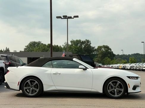 Used 2024 Ford Mustang Premium RWD image 34