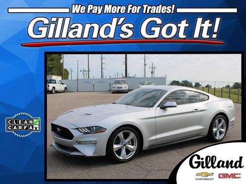 Used 2019 Ford Mustang Coupe w/ Equipment Group 101A RWD image 1