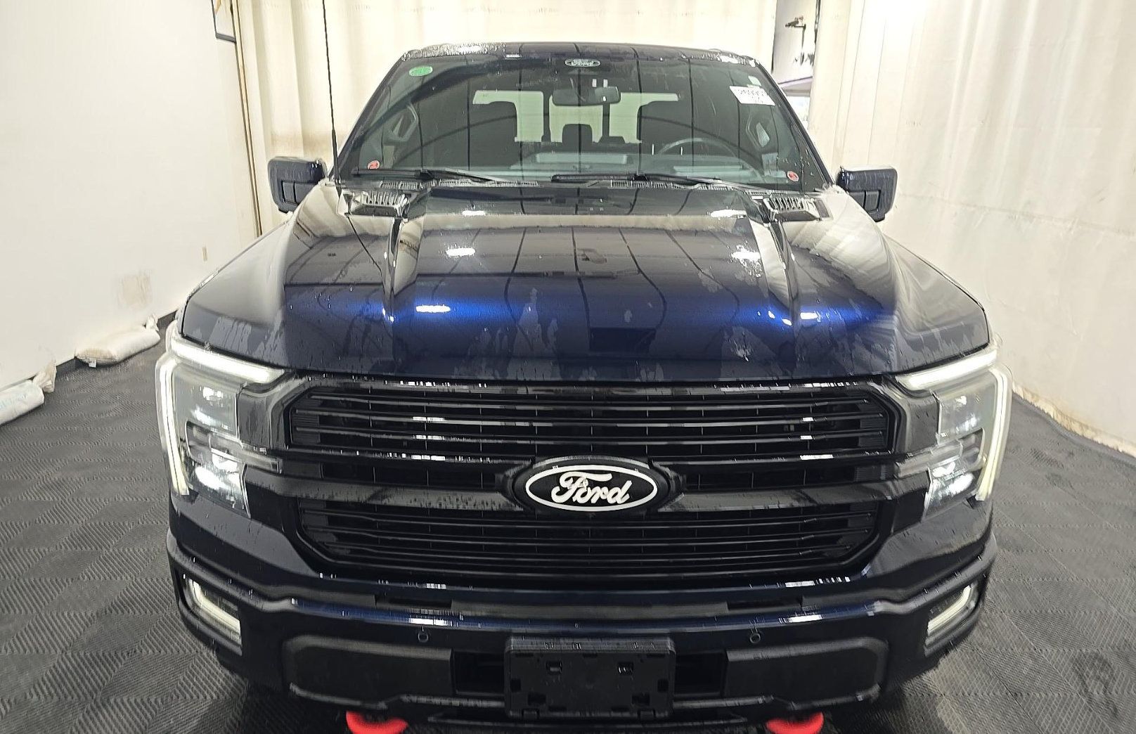 Used 2025 Ford F150 Platinum AWD/4WD image 2