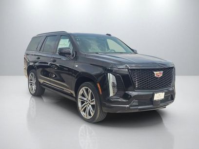 New 2026 Cadillac Escalade Platinum Sport