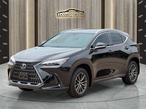 Used 2025 Lexus NX 350h AWD w/ Cold Area Package image 5