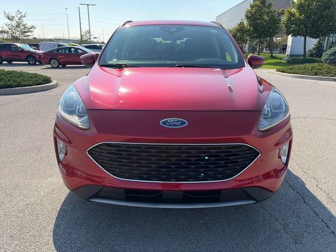 Used 2020 Ford Escape SEL AWD/4WD image 2