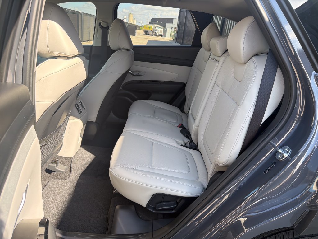 New 2026 Hyundai Tucson Limited AWD/4WD image 19
