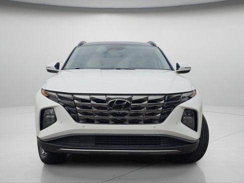 Used 2023 Hyundai Tucson Limited AWD/4WD image 3