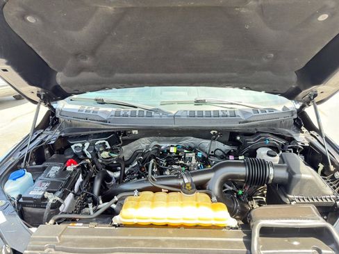 Used 2019 Ford F150 XLT w/ Equipment Group 302A Luxury AWD/4WD image 68