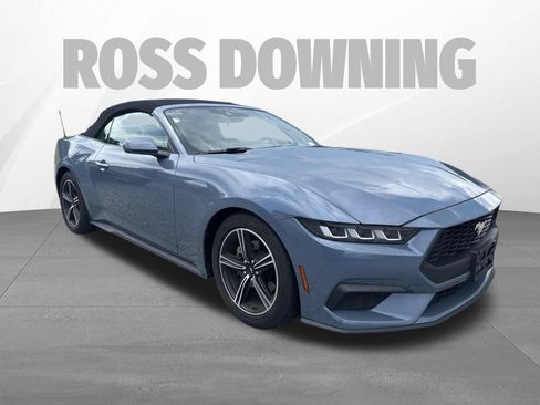 Used 2024 Ford Mustang Premium RWD image 2