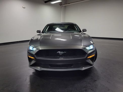 Used 2019 Ford Mustang Coupe RWD image 3