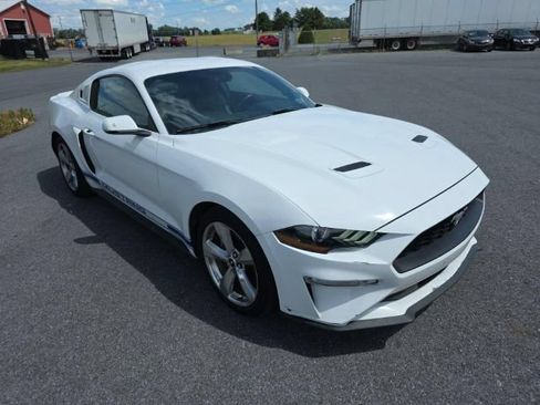 Used 2018 Ford Mustang Premium w/ Equipment Group 201A RWD image 1