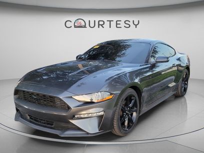 Used 2019 Ford Mustang Coupe w/ Black Accent Package