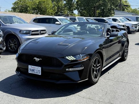 Used 2021 Ford Mustang Premium RWD image 4