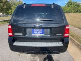 Used 2008 Ford Escape XLT image 5