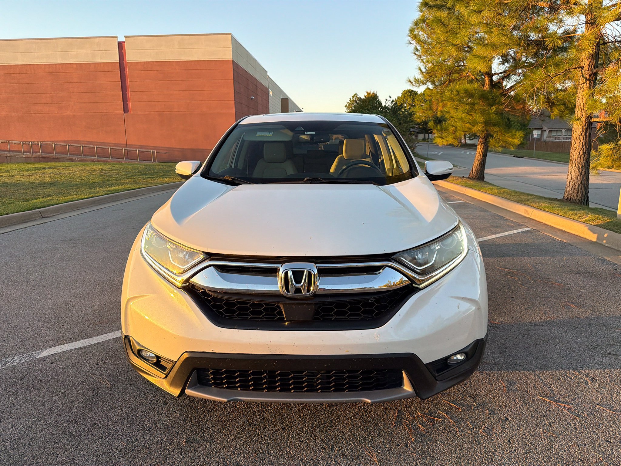 Used 2019 Honda CR-V EX-L image 2