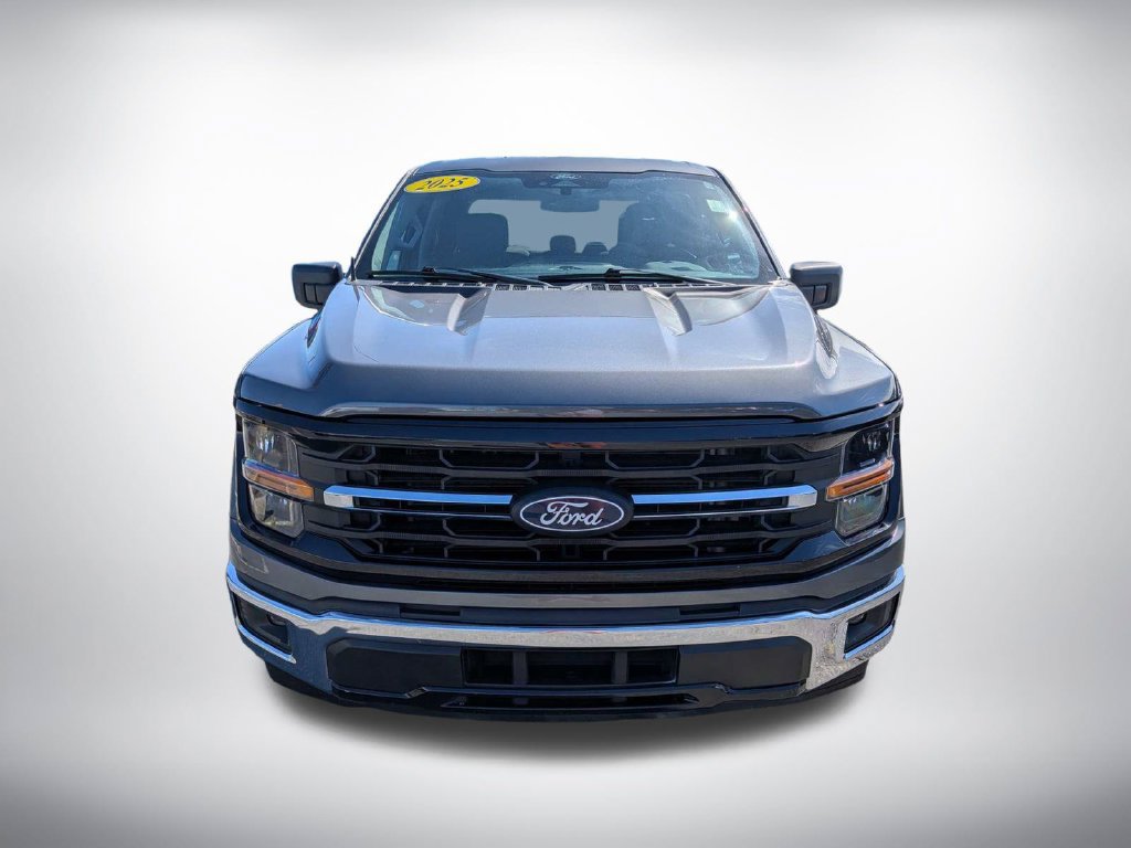 Used 2025 Ford F150 XLT w/ Equipment Group 301A Standard RWD image 8
