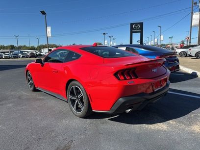 Used 2024 Ford Mustang Premium