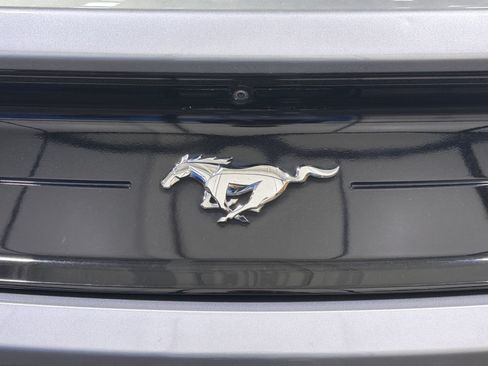 Used 2022 Ford Mustang Coupe w/ Equipment Group 101A RWD image 21
