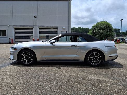 Used 2019 Ford Mustang Premium RWD image 5