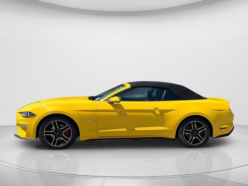 Used 2018 Ford Mustang Premium w/ Equipment Group 201A RWD image 15