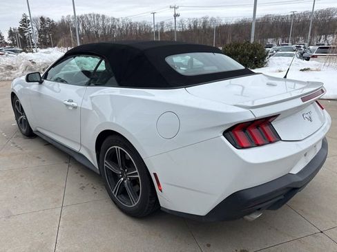 Used 2024 Ford Mustang Premium image 5
