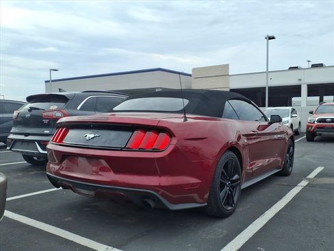 Used 2017 Ford Mustang Premium w/ Ecoboost Performance Package image 2