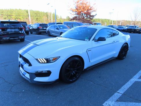 Used 2016 Ford Mustang Shelby GT350 w/ Technology Package image 3