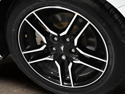 Used 2021 Ford Mustang Coupe w/ Equipment Group 101A RWD image 6