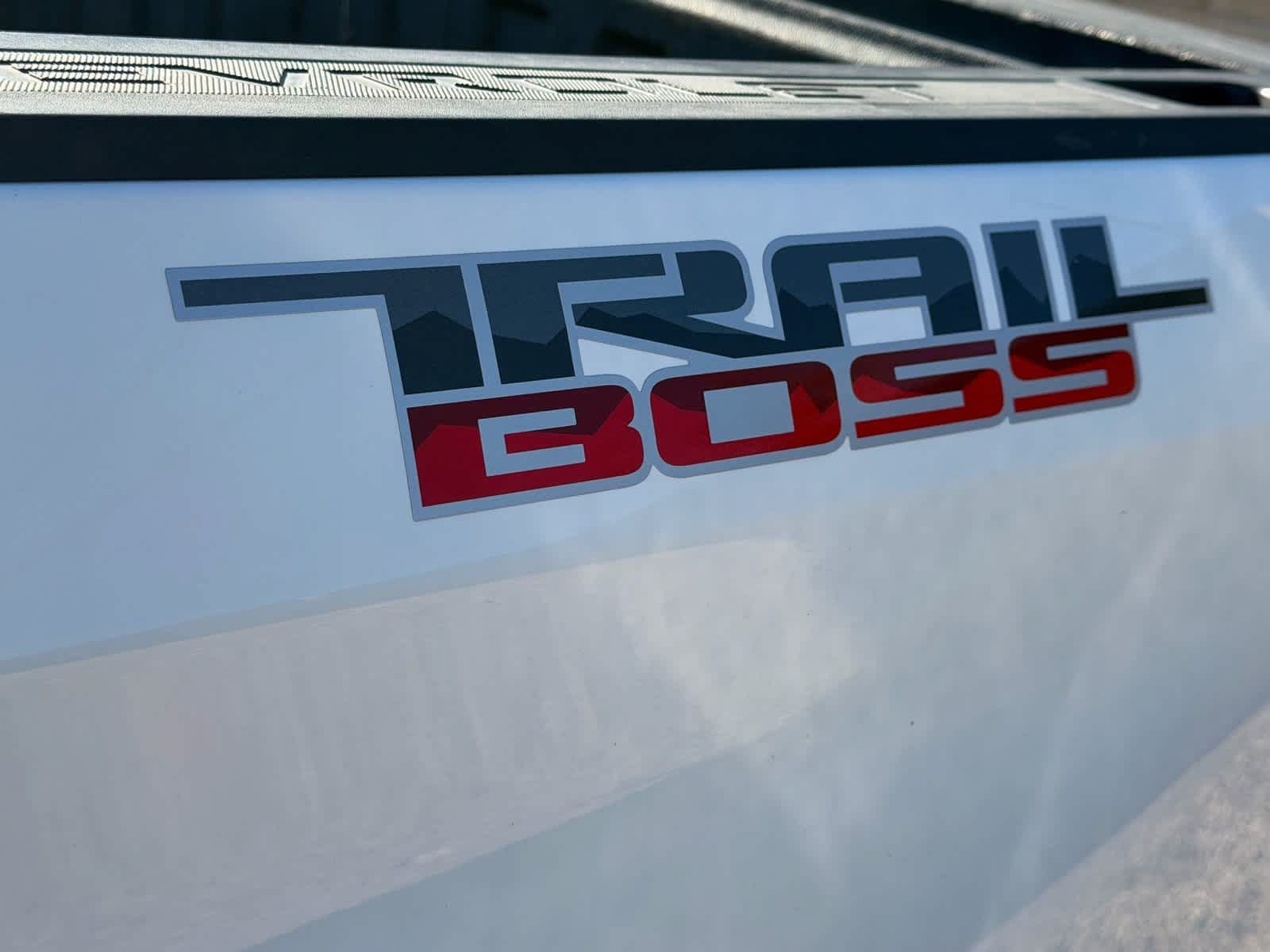 Used 2023 Chevrolet Silverado 1500 LT Trail Boss w/ Protection Package AWD/4WD image 9