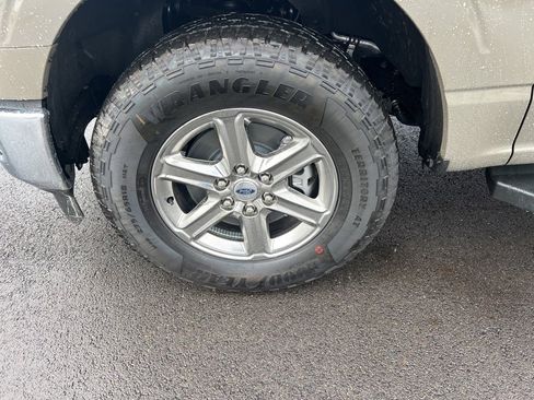 New 2025 Ford F150 XLT w/ Equipment Group 301A Standard image 8