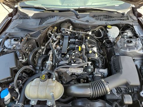 Used 2022 Ford Mustang Coupe RWD image 13