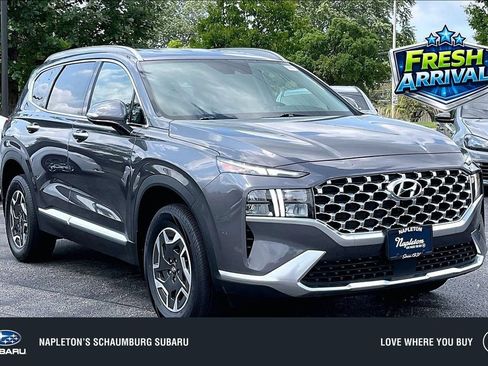 Used 2021 Hyundai Santa Fe Blue AWD/4WD image 1