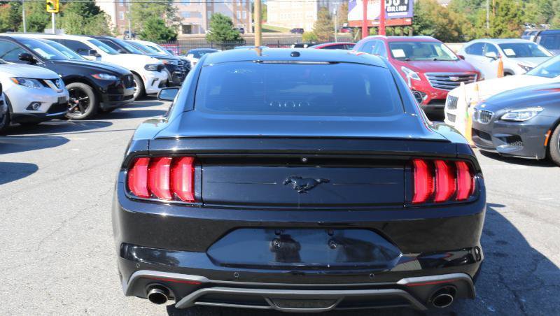 Used 2019 Ford Mustang Coupe RWD image 6