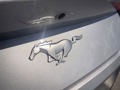 Used 2025 Ford Mustang Premium RWD image 4