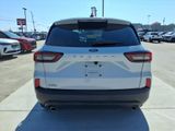 Used 2025 Ford Escape ST-Line image 4