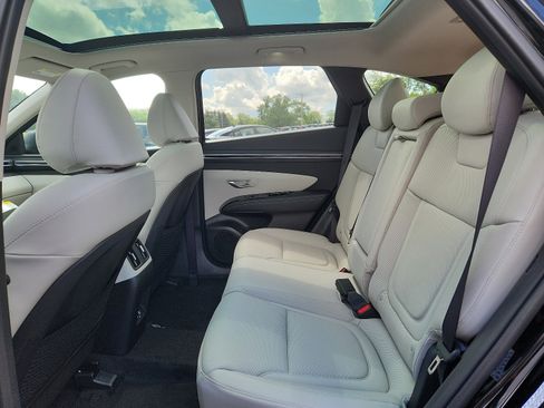 New 2023 Hyundai Tucson Limited image 6