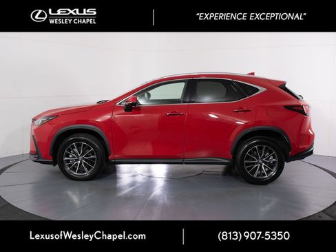 Used 2024 Lexus NX 350 AWD image 7