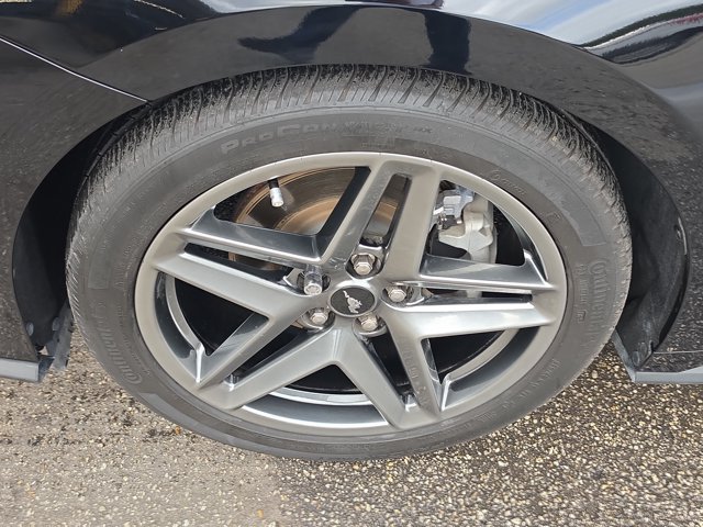 Certified 2025 Ford Mustang Premium RWD image 9
