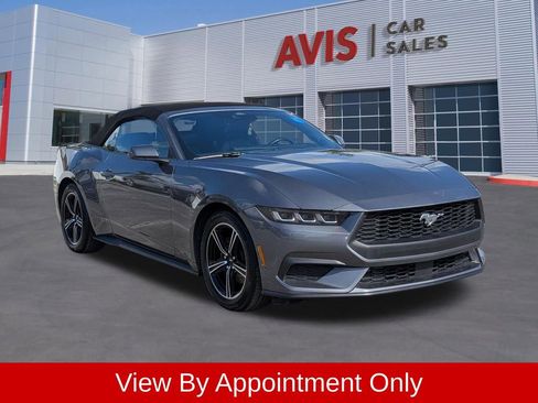 Used 2025 Ford Mustang Premium RWD image 3