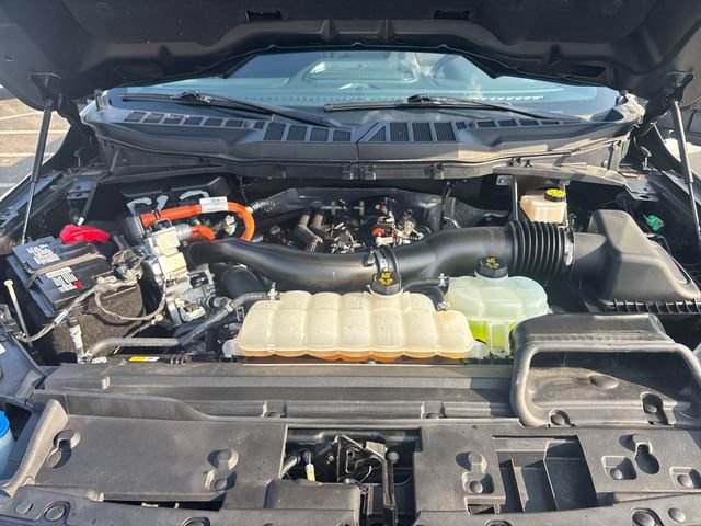 Used 2024 Ford F150 XLT w/ Equipment Group 302A MID AWD/4WD image 22