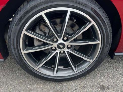 Used 2019 Ford Mustang Premium w/ Equipment Group 201A RWD image 12