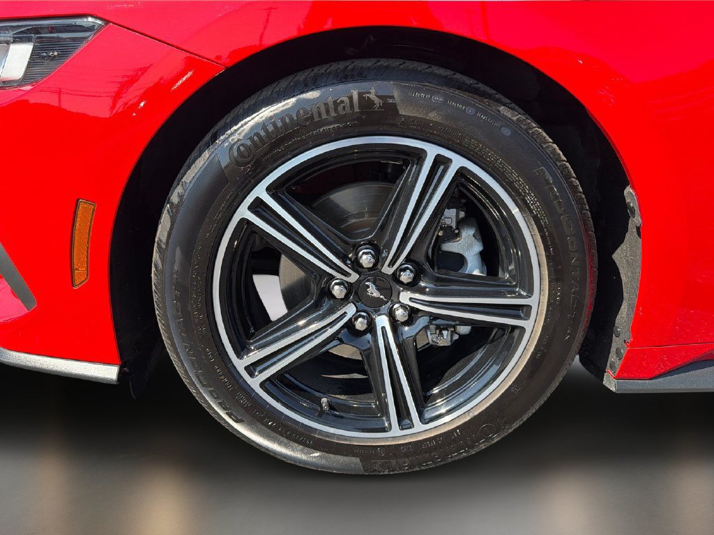 Used 2024 Ford Mustang Premium RWD image 10