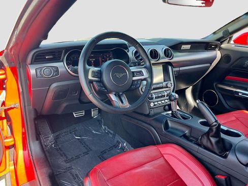 Used 2019 Ford Mustang Premium w/ Equipment Group 201A RWD image 9