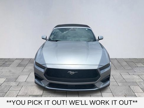 Used 2025 Ford Mustang Premium RWD image 2