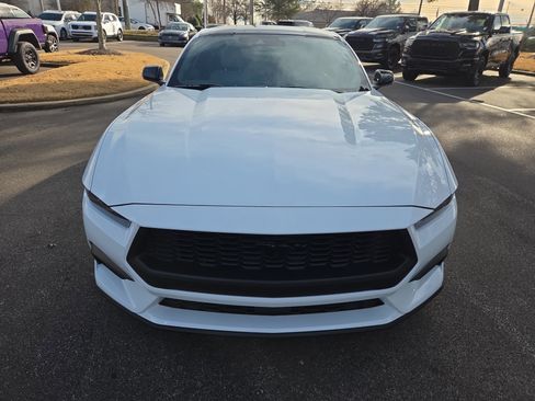 Used 2024 Ford Mustang Premium w/ Mustang Nite Pony Package image 8