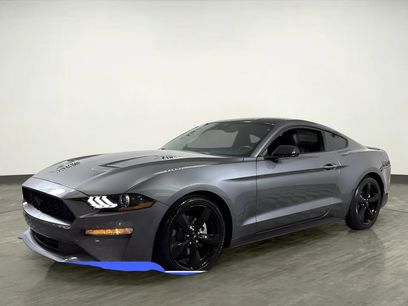 Used 2023 Ford Mustang Premium w/ Mustang Nite Pony Package