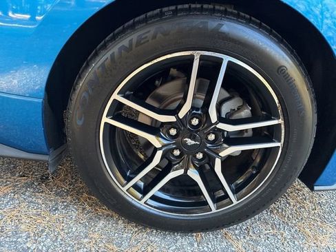 Used 2019 Ford Mustang Premium w/ Ford Safe & Smart Package image 12