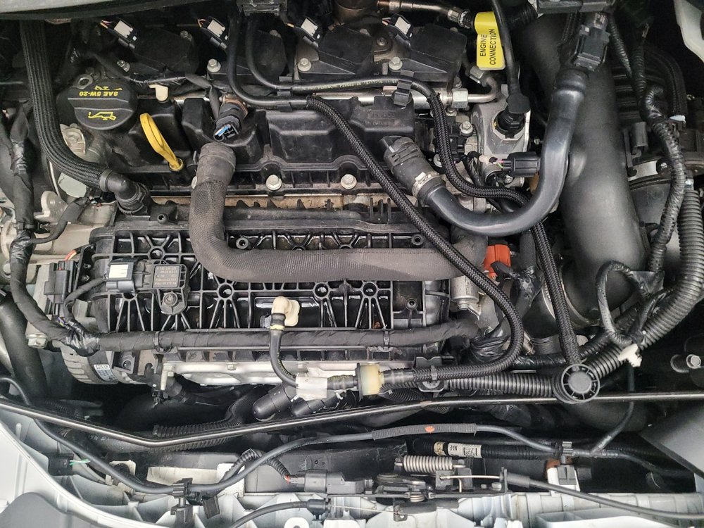 Used 2019 Ford Escape SE FWD image 30