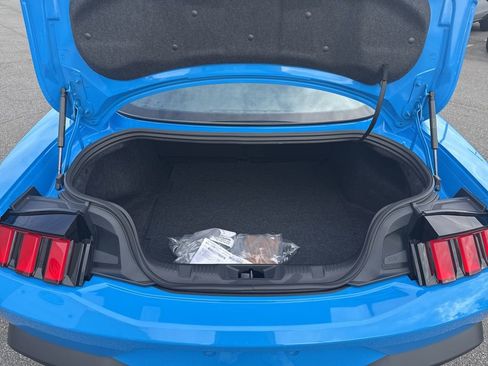 New 2025 Ford Mustang GT w/ Mustang Nite Pony Package image 15