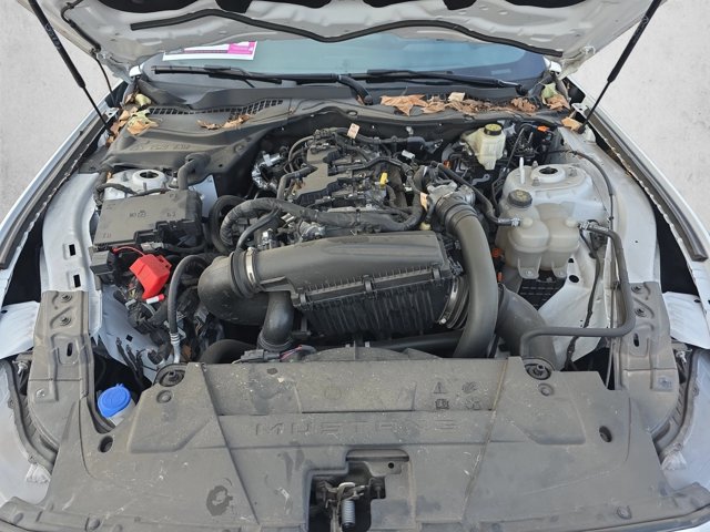 Used 2024 Ford Mustang Coupe RWD image 21